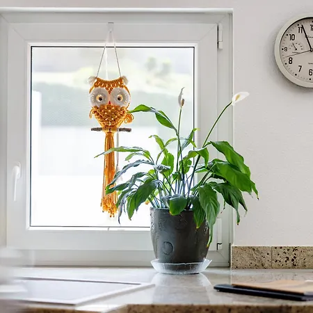 Kunstraum Διαμέρισμα *